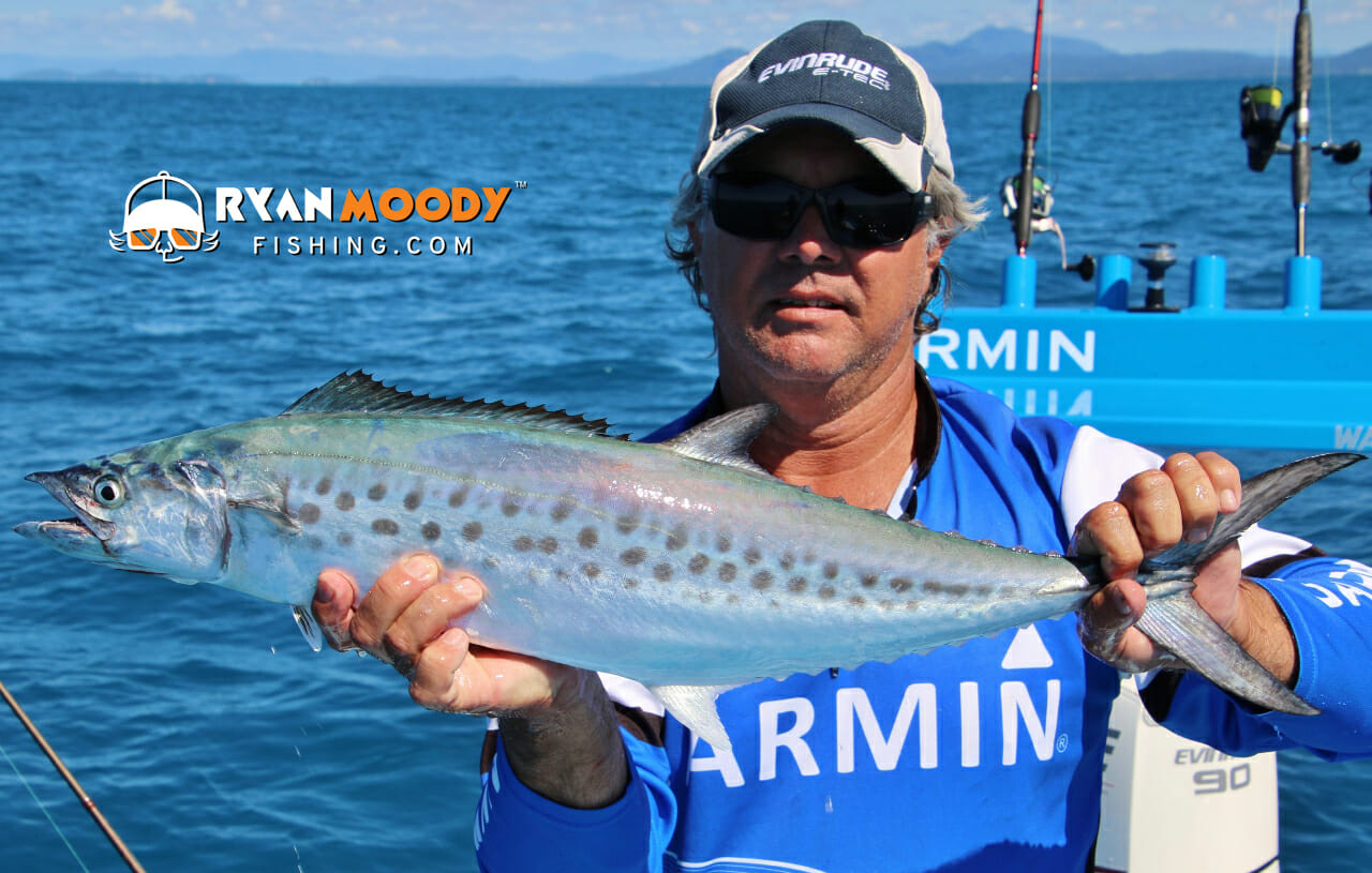 How to catch Mackerel using metal slices — Ryan Moody Fishing