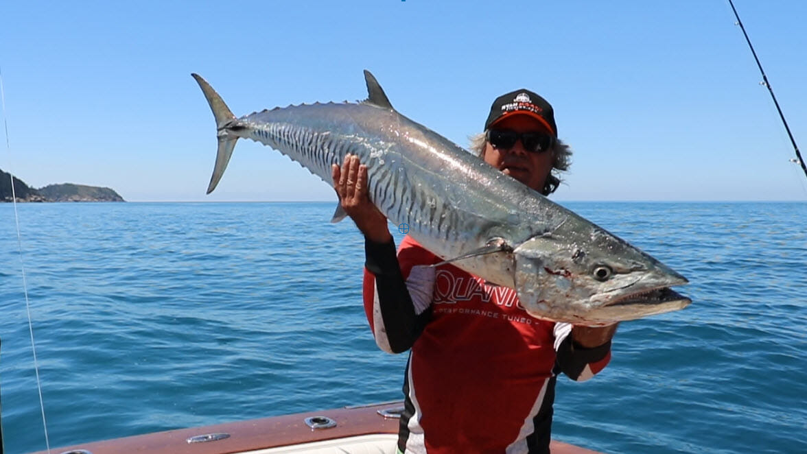 How to set up a trolling line for Spanish Mackerel 