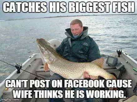 Funny Fishing Memes
