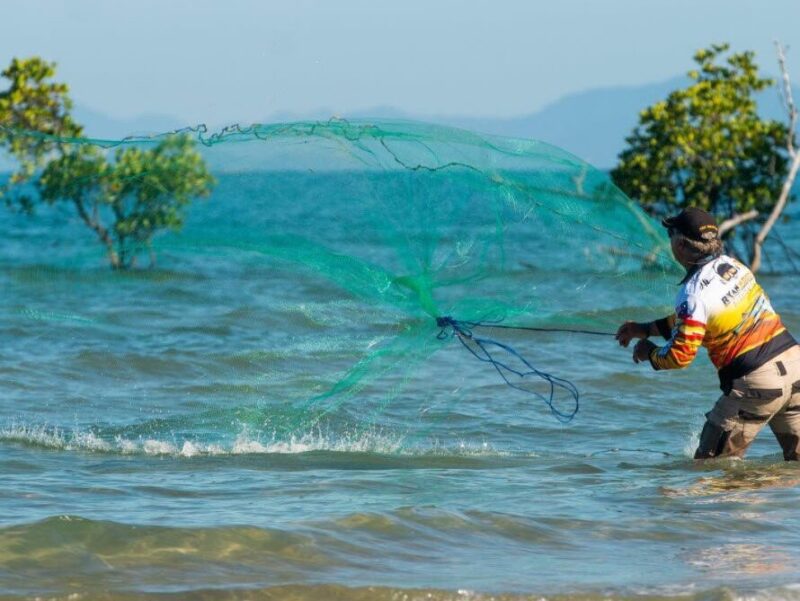 Amazing Big Fishing Catching Skill, Net Fishing in The Sea 