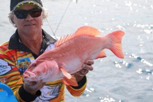 Coral trout are a stunning fish and fantastic on the plate.