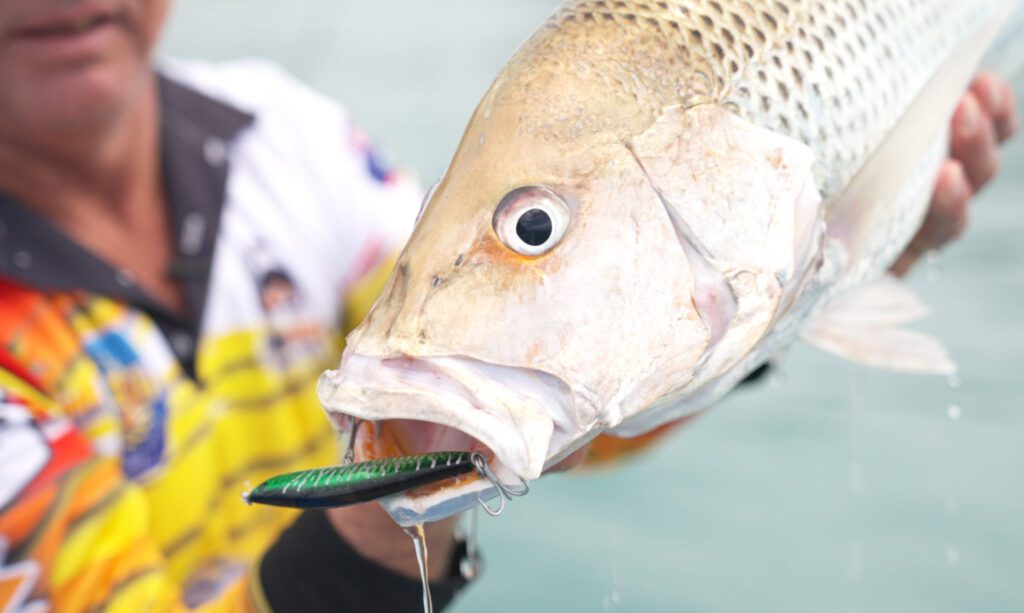 Fingermark caught on Pillager lure.