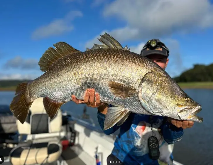 Jack Centofanti with metre plus barra from Tinaroo.