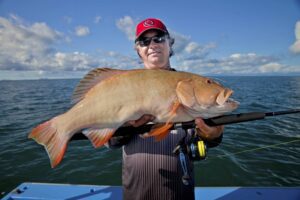 Bar cheeked coral trout with ryan moody