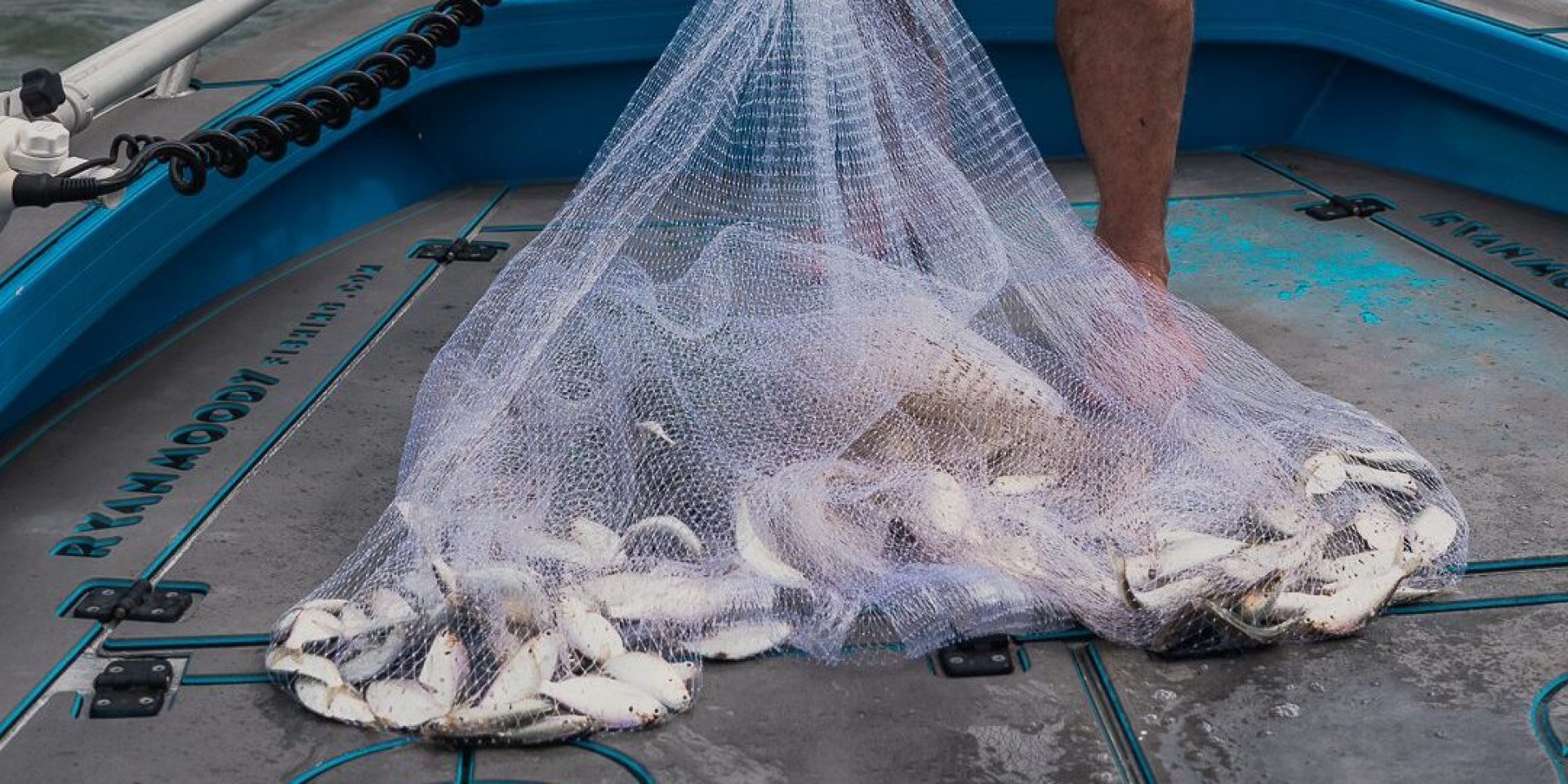 Throw Net Fishing Hand Cast Net Mesh Nylon Fishing Network Throw