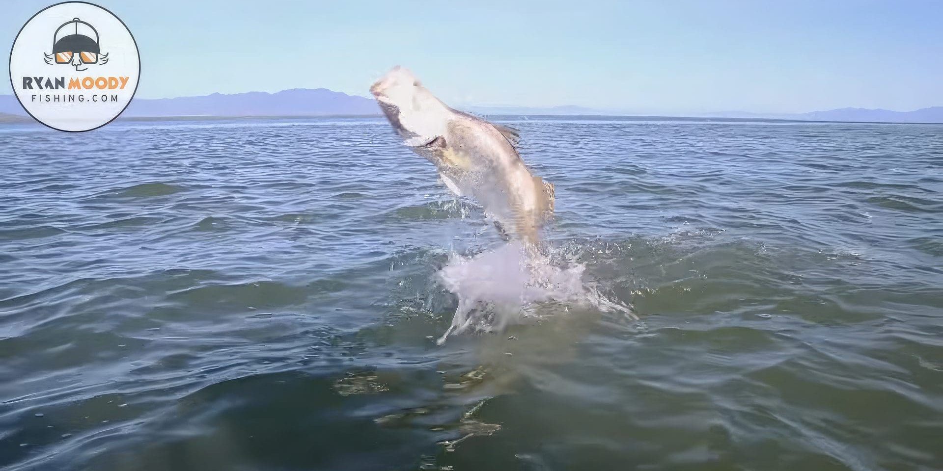 Ryan Moody Catching Big Barramundi #13-upscaled