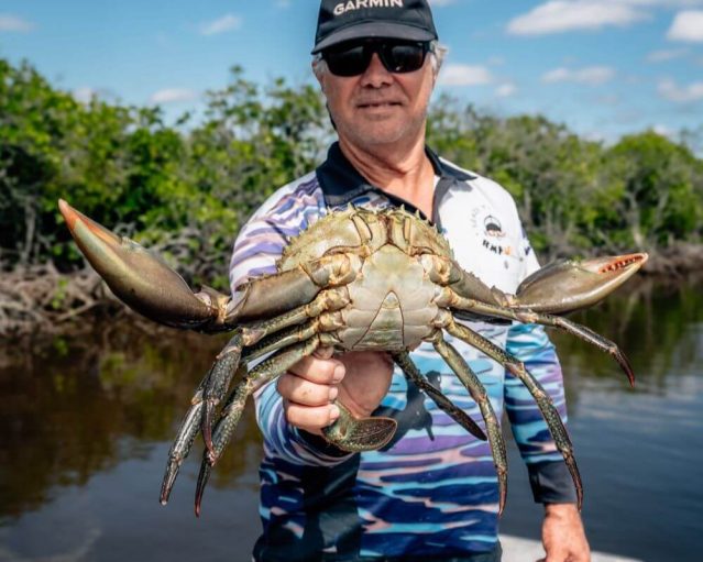 Ryan_CrabLift_HoldingOneMudCrab_Mangroves_DSC01140 (1)