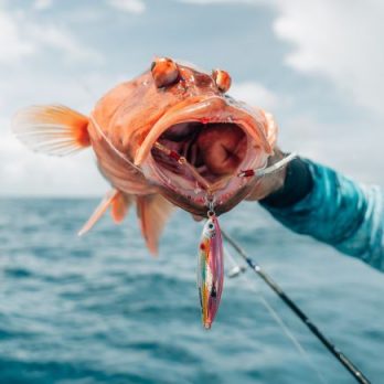 Ryan_Fishlift_Trout_Levitator_CloseUp-01190