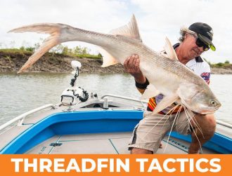 Threadfin-Tactics