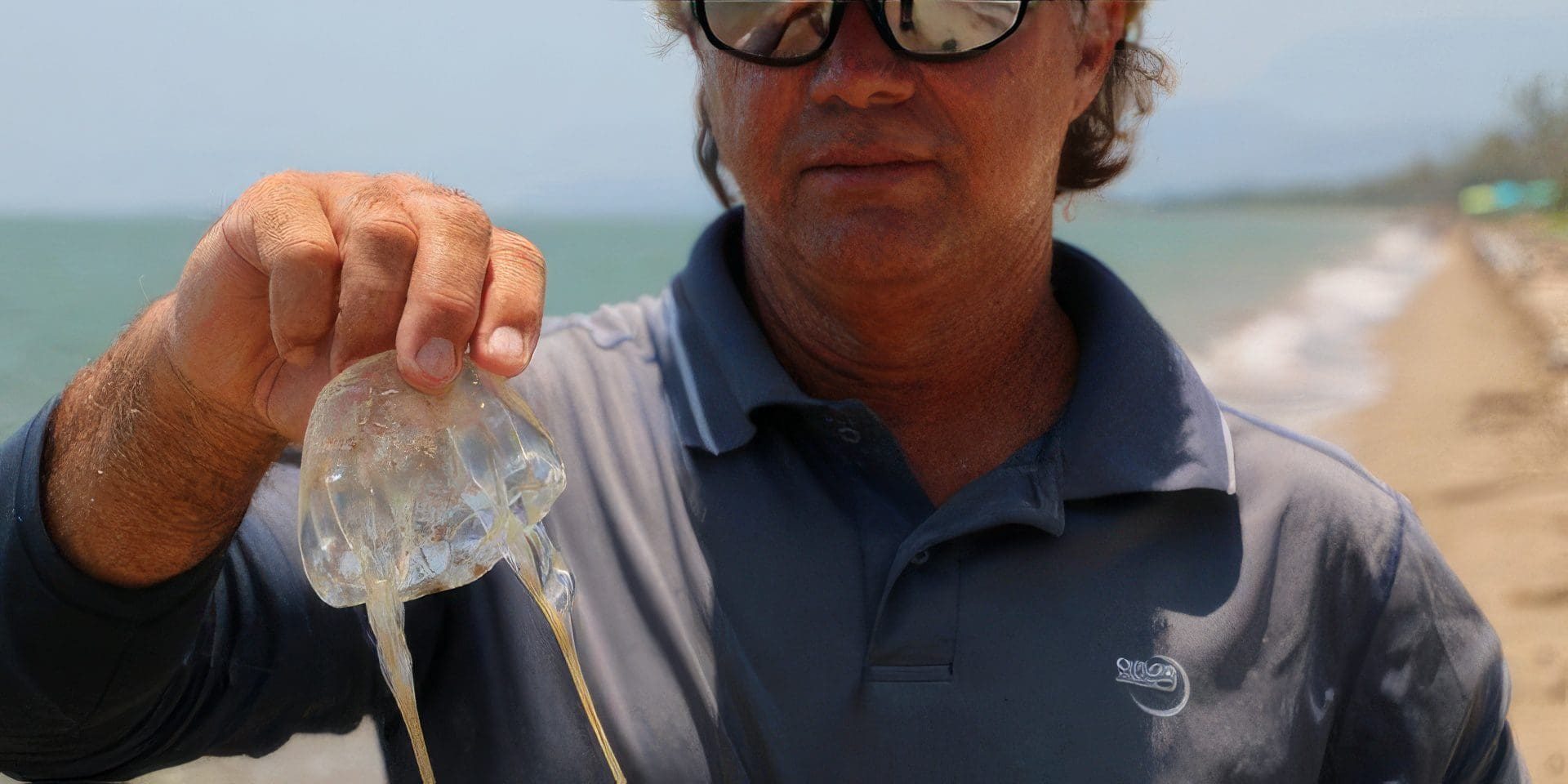 box-jellyfish-in-castnet